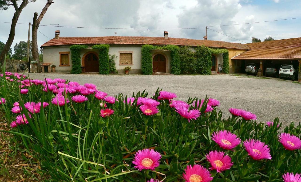Agriturismo Monte Alzato Capalbio