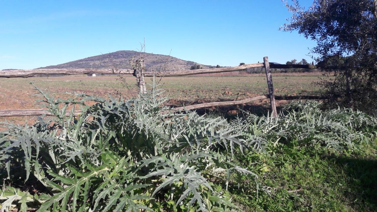 Agriturismo Monte Alzato Capalbio